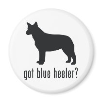 Australian Cattle Dog Fridge Magnets