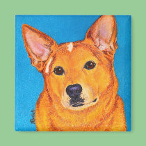 Australian Cattle Dog Magnet - "Red" magnets