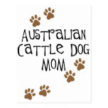 Australian Cattle Dog Mom t-shirts & gifts Postcard