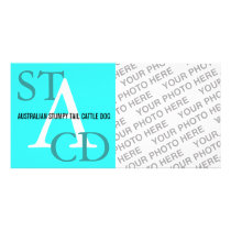 Australian Cattle Dog Monogram Custom Photo Card