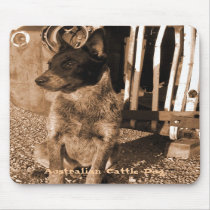 Australian Cattle Dog Mousepad #2 by wildhorse59 Australian Cattle Dog Mousepad #2