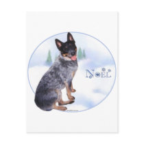 Australian Cattle Dog Noel Post Cards