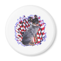 Australian Cattle Dog Patriot magnets