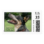 Australian Cattle Dog postage