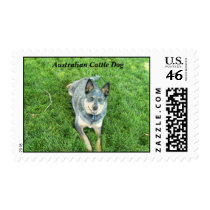 Australian Cattle Dog postage by codfishlady Australian Cattle Dog postage