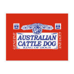 Australian Cattle Dog Postcard