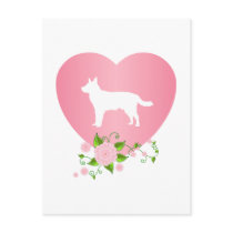 Australian Cattle Dog Postcard