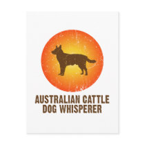 Australian Cattle Dog Postcard