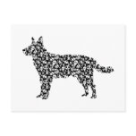 Australian Cattle Dog Post Card