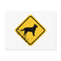 Australian Cattle Dog Post Cards