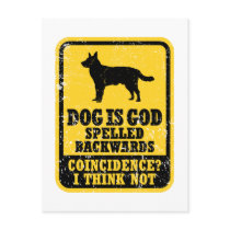 Australian Cattle Dog Postcard