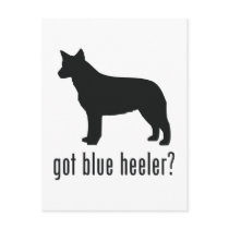 Australian Cattle Dog Post Cards