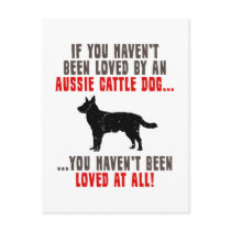 Australian Cattle Dog Postcards