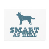 Australian Cattle Dog Post Card