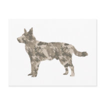 Australian Cattle Dog Postcard