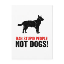 Australian Cattle Dog Postcard