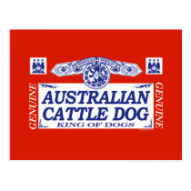 Australian Cattle Dog postcards