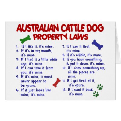 AUSTRALIAN CATTLE DOG Property Laws 2 Cards by poochloverstuff