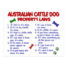AUSTRALIAN CATTLE DOG Property Laws 2 Postcard