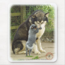 Australian Cattle Dog pup with Alaskan Malamute mousepads by TraffordPhotos Australian Cattle Dog pup with Alaskan Malamute mousepads