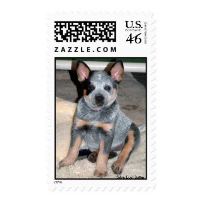 Australian Cattle Dog Puppy " Butter " Stamp by debcasey