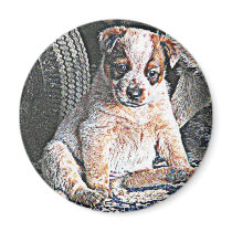 Australian Cattle Dog puppy Magnet