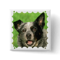 Australian Cattle Dog Square Pin