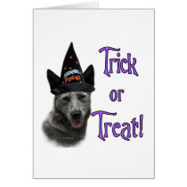 Australian Cattle Dog Trick Card