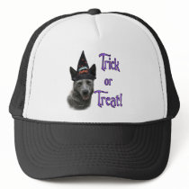 Australian Cattle Dog Trick hats