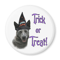 Australian Cattle Dog Trick magnets