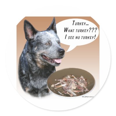 Australian Cattle Dog Turkey Sticker by GreyWolfCreation