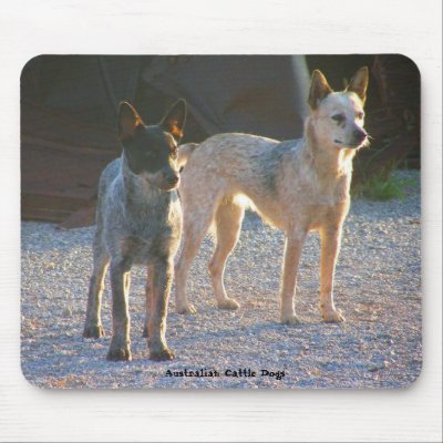 Australian Cattle Dogs Mousepad by wildhorse59