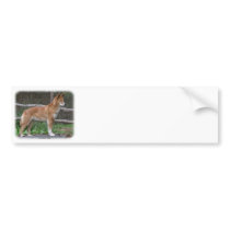 Australian Dingo 9Y209D-268 Bumper Stickers