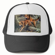 Australian Dingo Hat