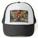 Australian Dingo hats by biologybase Australian Dingo hats