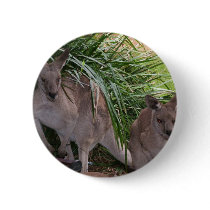 Australian Eastern Grey Kangaroo buttons by Furgal Australian Eastern Grey Kangaroo buttons