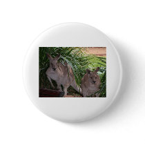 Australian Eastern Grey Kangaroo Buttons