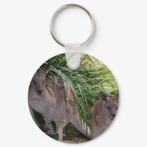 Australian Eastern Grey Kangaroo keychains
