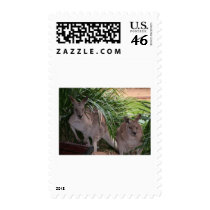 Australian Eastern Grey Kangaroo postage by Furgal Australian Eastern Grey Kangaroo postage