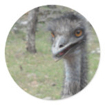 Australian Emu Round Sticker