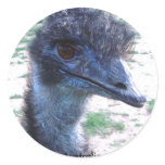 Australian Emu Round Stickers