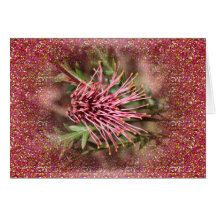 Australian Flora Greeting Cards