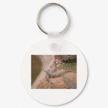 Australian Freshwater Crocodile keychains by Furgal Australian Freshwater Crocodile keychains