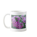 Australian Geralton Wax mug