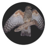 Australian goshawk round sticker