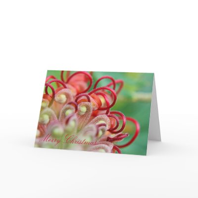Australian Grevillea Christmas Card by SusanPBrown