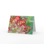 Australian Grevillea Christmas Card