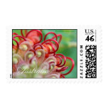 Australian Grevillia - US Postage Stamp