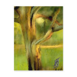 Australian Gum Tree Postcard