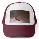Australian Hawk Cap hats by PhotoPixie Australian Hawk Cap hats